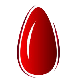 NailArt Academy